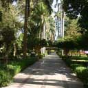 Aswan Botanic Garden