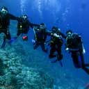 Marsa Alam Day Trips & Excursions