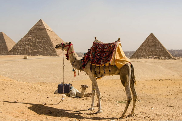 Cheap Holiday To Egypt