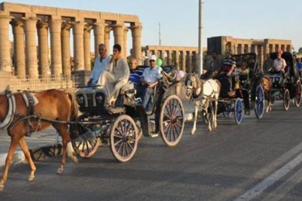 Luxor City Tour By Horse Drawn Carriage