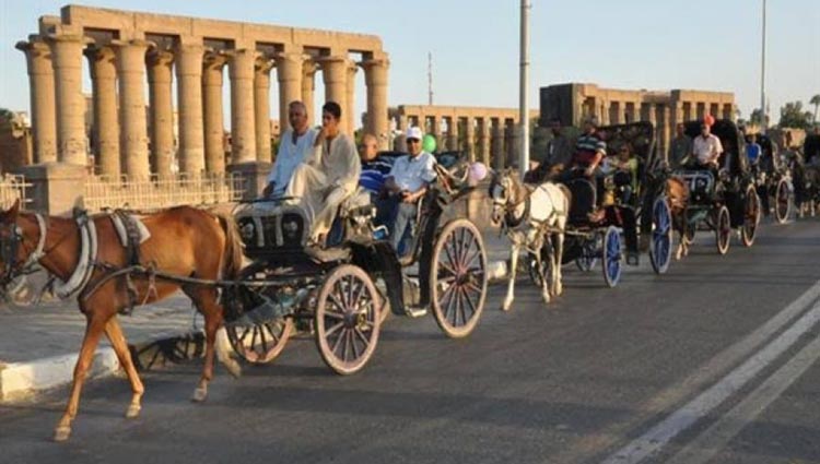 Luxor City Tour By Horse Drawn Carriage