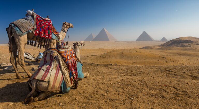 egypt tour and cruise