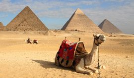 Interesting Facts About Egypt