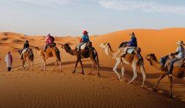 egypt-desert-trips